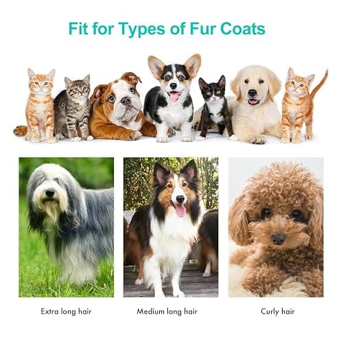 Neakasa P1 Pro Pet Grooming Kit & Vacuum Suction 99% Pet Hair, Professional Clippers with 5 Proven Grooming Tools for Dog and Cat thumbnail 4