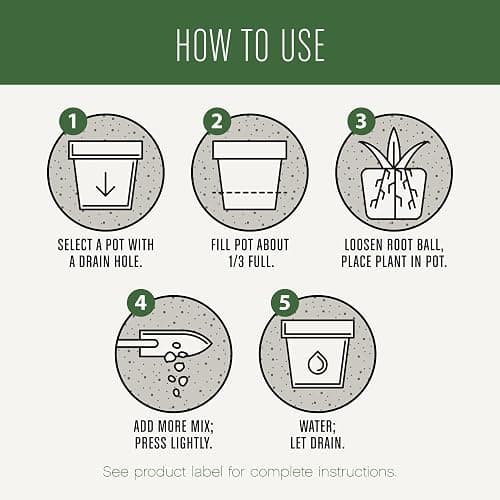 Miracle-Gro Houseplant Potting Mix: Fertilized, Perlite Soil for Indoor Gardening, Designed to Be Less Prone to Gnats, 4 qt. thumbnail 10