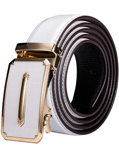 Dubulle Designer Mens Belts, Sliding Automatic Buckle Ratchet Dress Belt TOP Genuine Leather Strap Gifts - Image 1