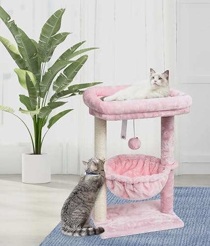 SYANDLVY Small Cat Tree for Indoor Cats, Activity Cat Tower with Scratching Post for Kittens, Modern Cat Furniture with Basket & Hanging Ball for Play Rest, Pink thumbnail 7