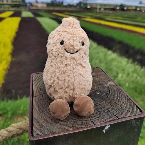 MUALML Cute Peanut Plush Toy, 6" Soft Peanut Stuffed Animal Funny Food Plushies with Legs, Adorable Smile Peanut Birthday Gift for Kids Girls Boys thumbnail 7