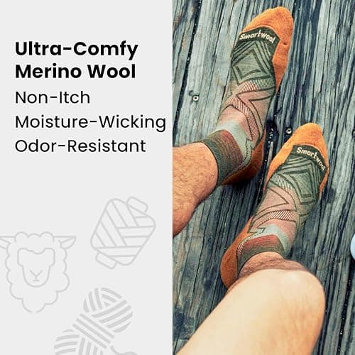Any color Smartwool Men's Hike Light Cushion Ankle Socks - size LARGE thumbnail 3