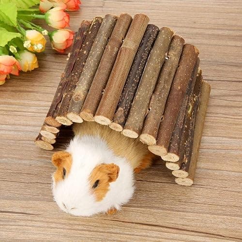 Pont Bois Hamster, Cachette Tortue Échelle en Bois Reptile Cachette Maison Clôture Pont pour Reptile Lézard Tortue Hérisson Petit Animal Chew Toy (Moyen) thumbnail 5