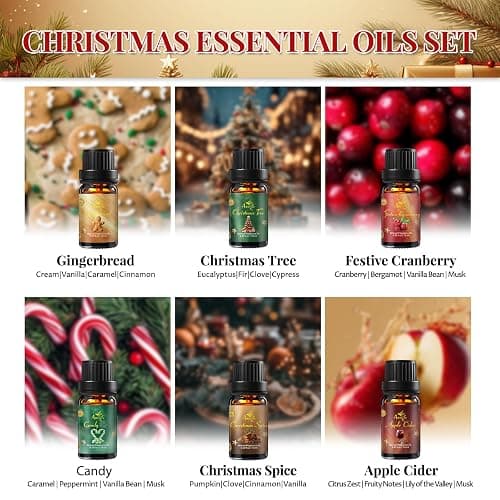 Christmas Essential Oil Set | 6 Pack Holiday Fragrance Oils for Diffuser, Candle Making | Christmas Tree, Spice, Gingerbread, Apple Cider, Candy, Cranberry | Aromatherapy Gift Set for Home & Women thumbnail 2