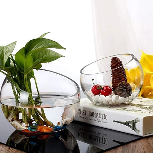 WGVI Clear Slant Cut Bowl Glass Vase, Glass Terrarium, Candy Dish, Glassware, Slant Open: 7". Height: 6" x 2.7". Base: 4" (1 Piece) thumbnail 2