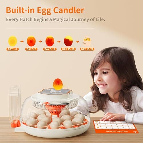 18 Egg Incubator, Automatic and Adjustable Egg Turning, Egg Candler, Temperature and Humidity Control, Hatch Day, 2 Size Egg Tray, Automatic Water Refill, Hatching Chicken Quail Duck Turkey Goose Bird thumbnail 6
