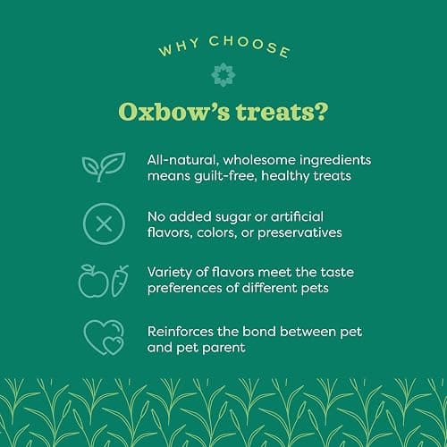 Oxbow Simple Rewards Baked Carrot & Dill Treats, Rabbit & Guinea Pig Treats Made with Timothy Hay, Healthy Guinea Pig, Hamster & Bunny Snack, Timothy for Rabbit, Made in USA, 3 oz Bag thumbnail 3