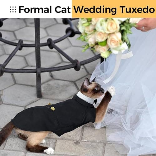 DENTRUN Cat Tuxedo Outfit, Sphynx Cat Costume Formal Suit with Bow Tie | Bow tie accessory, stylish tuxedo formal attire, for Sphynx & fluffy cats, wedding/party wear, XS-XXL. thumbnail 7