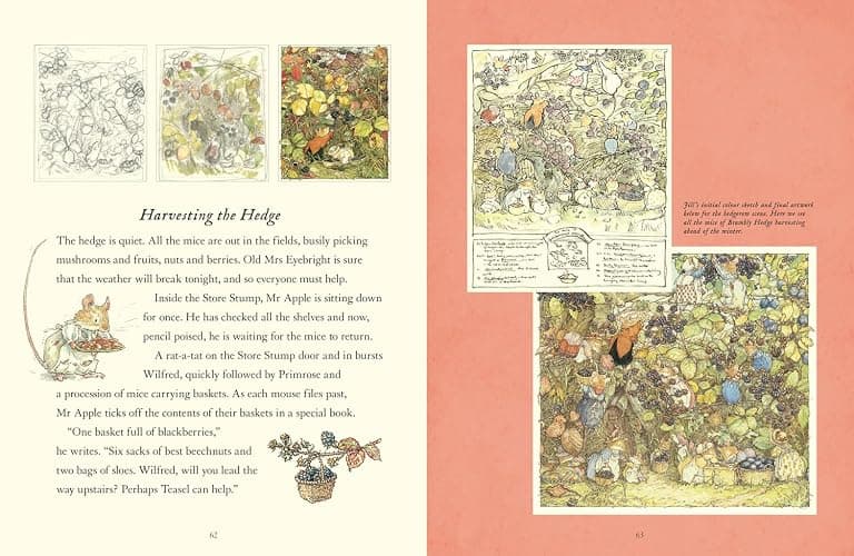 A Visit to Brambly Hedge: An illustrated companion to the world of Brambly Hedge, perfect for collectors and fans of Jill Barklem! thumbnail 4