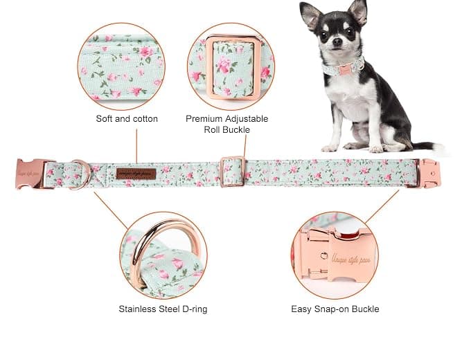Collar  thumbnail 2