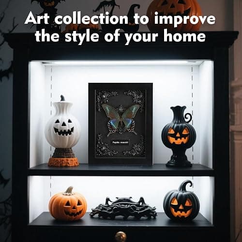 Real Framed Butterfly Taxidermy - Shadow Box, Real Framed Butterfly in a Box for Gothic Home Decor Aesthetic (B_Alpine Black Swallowtail Black Background #1) thumbnail 5
