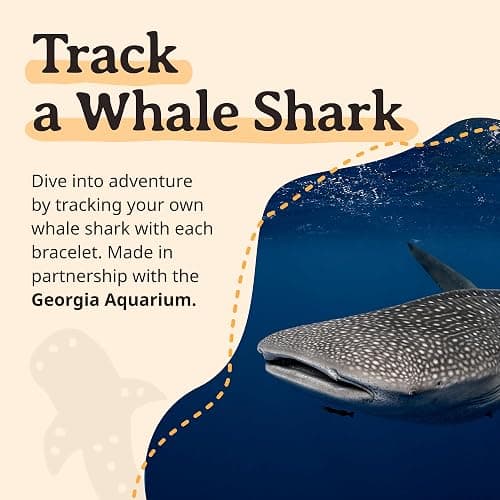 Fahlo Quest Bracelet Whale Shark Tracking Bracelet, Elastic, Supports Georgia Aquarium, one Size fits Most for Men and Women thumbnail 4