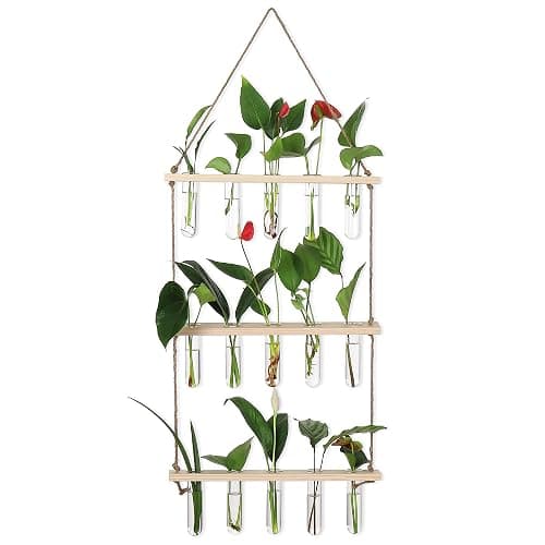 YIBOT Propagation Stations,3 Tiered of Propagation Tubes with Wooden Stand,Mini Glass Test Tubes Vase,Plant Terrarium for Hydroponic Home Garden Office Decor, Gardening Gift for Women Plant Lover thumbnail 9