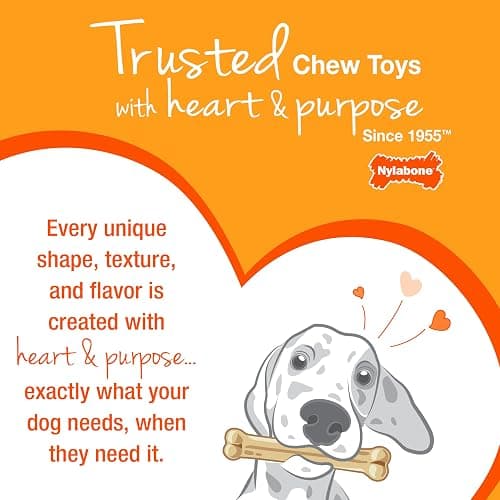 Nylabone Puppy Pacifier Chew Toy, Teething Toys for Puppies, Bacon Flavor, Small - Up to 25 lbs, 1 Count thumbnail 11