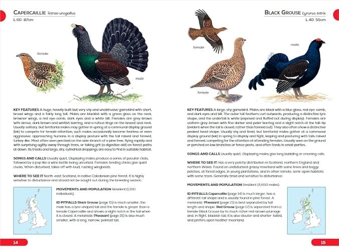 RSPB Pocket Guide to British Birds thumbnail 2