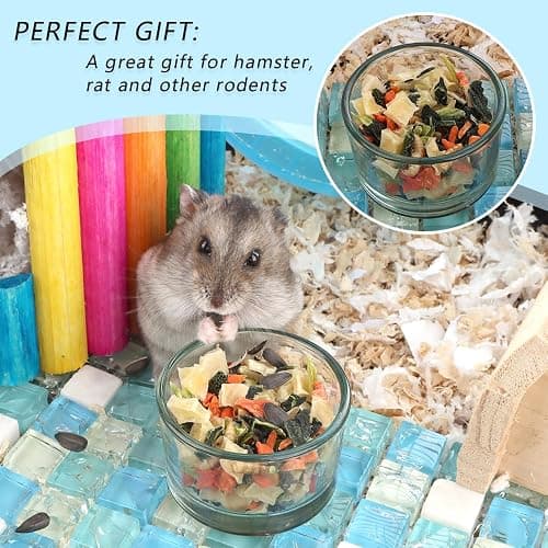 2 Pcs Hamster Food and Water Bowl Glass Anti-Turning Transparent Dish for Hamster and Other Small Pet thumbnail 3
