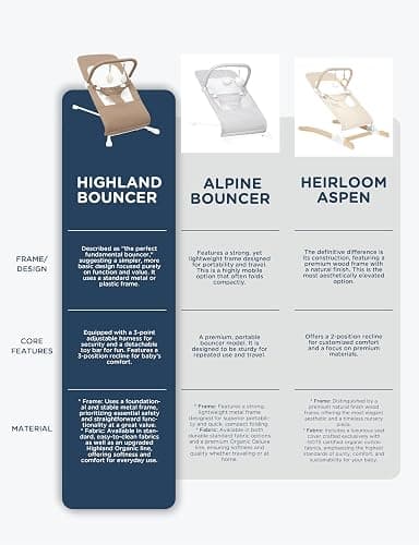 Baby Delight Highland Baby Bouncer | Infant | 0 – 6 Months | 3-Position Recline | Mocha Tweed thumbnail 9