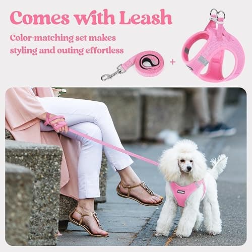 rabbitgoo Dog Harness Small Sized and Leash Set, Step-in Puppy Pet Vest | Light, Soft, Breathable Air Mesh, Easy on and Remove with Hook & Loop, Secure Reflective for Walking, Light Pink S thumbnail 5