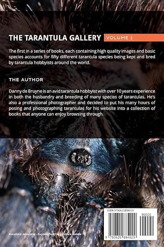 The Tarantula Gallery: Image Reference & Species Accounts thumbnail 2