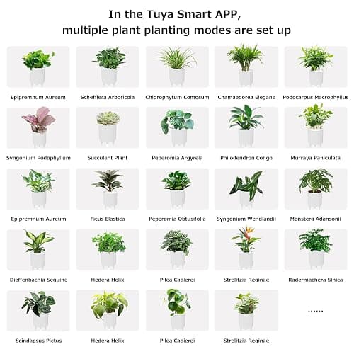 TPHRAVAL Intelligent Flower Pot, Electronic Bud, Maintenance Plant Assistant, Fun Interactive Flower Pot, Indoor Green Planting Monitoring, LCD Screen Display, Cell Phone APP Connection (White) - White thumbnail 3