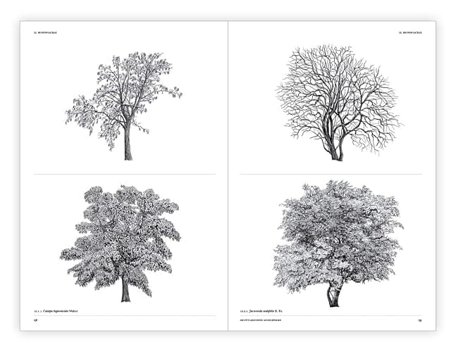 The Architecture of Trees thumbnail 11