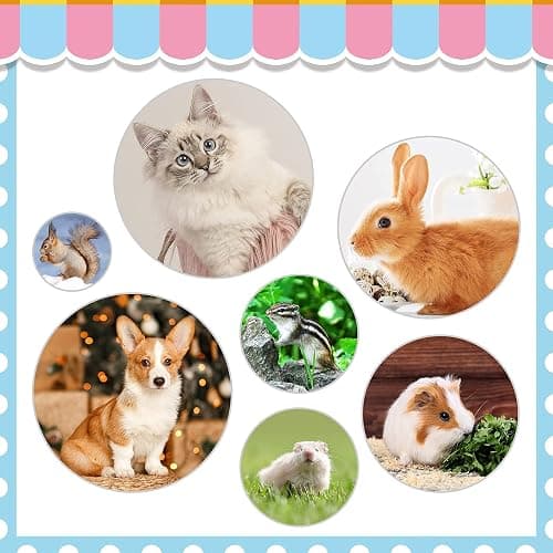 Rabbit Grooming Kit, Rabbit Brush for Shedding with Bunny Nail Clipper, Rabbit Nail Trimmers with Pet Combs for Hamster Guinea Pig Ferret by KALAMANDA thumbnail 8