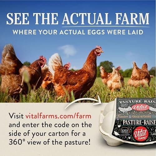 Vital Farms Pasture-Raised Large Eggs 6ct thumbnail 3