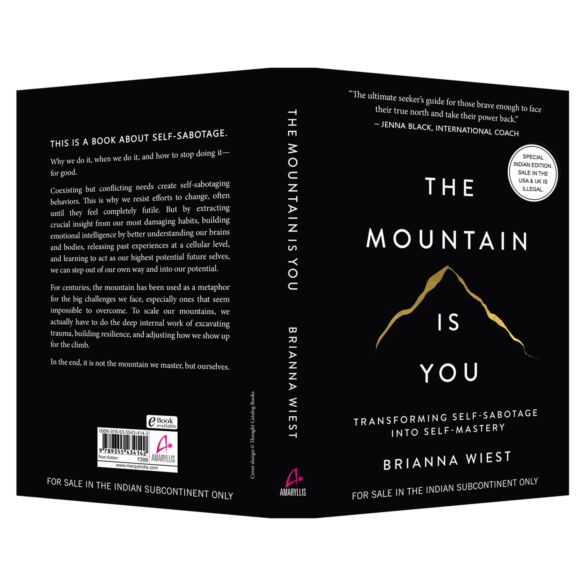 The Mountain Is You: Transforming Self-Sabotage Into Self-Mastery thumbnail 4