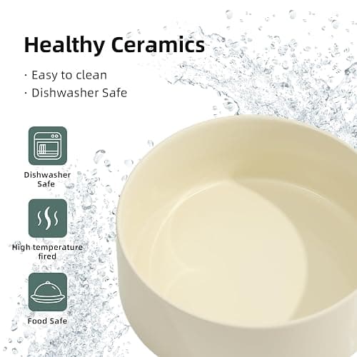 Havniva Raised Cat Bowls Water Bowl 6.1” Elevated Ceramic Cat Food and Water Bowl Whisker Friendly Pet Food Bowls for Indoor Cats, Wide Cat Water Dish Prevent Whisker Fatigue Non Slip Cat Feeder thumbnail 6