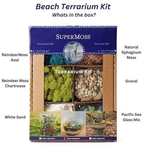 SuperMoss (90422) Beach Terrarium DIY Kit – Create Stunning Nature-Inspired Mini Gardens – Perfect for Home Decor, Office Gifts, and Plant Lovers, Appx 4 Oz thumbnail 4