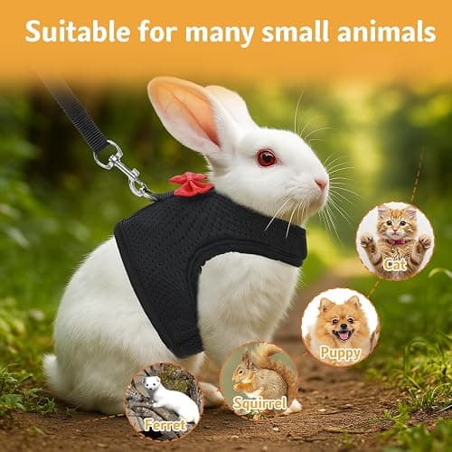 Bunny Harness and Leash Set, Soft Breathable Mesh Rabbit Leash Vest with Safety Buckles, Lightweight Escape-Proof Walking Gear for Rabbits, Kittens, Ferrets, Guinea Pigs, Black M thumbnail 6