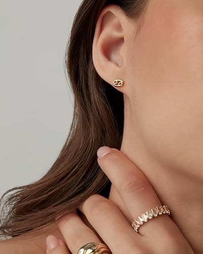 PAVOI 14K Gold Plated 925 Sterling Silver Posts Zodiac Sign Flat Back Earring Studs | Birthday Gift for Women | Astrology Earring Pair thumbnail 4