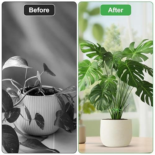 Qianyu 20pcs Climbing Cage Houseplant Stem Supports Plant Climbers Holders Reusable Plastic Flower Stakes Trellis Stem Hook Growth Accessories for Garden Thriving Growth (4 Sizes) thumbnail 6