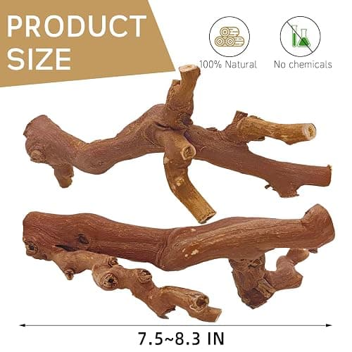 kathson 2PCS Wood Hamster Climbing Branches Decor, Natural Wooden Syrian Hamster Climb Chewing Toys, Rat Exercise Toys, Small Animal Habitat Decor Accessories for Dwarf Pets, Gerbils, Mice (7.8IN) thumbnail 4