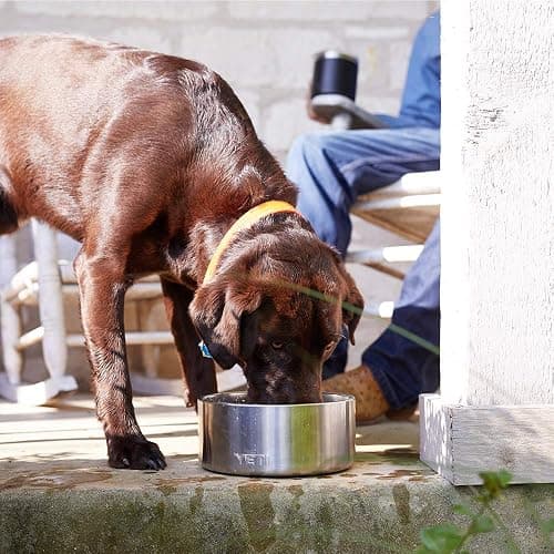 YETI Boomer 8 stainless steel dog bowl thumbnail 6