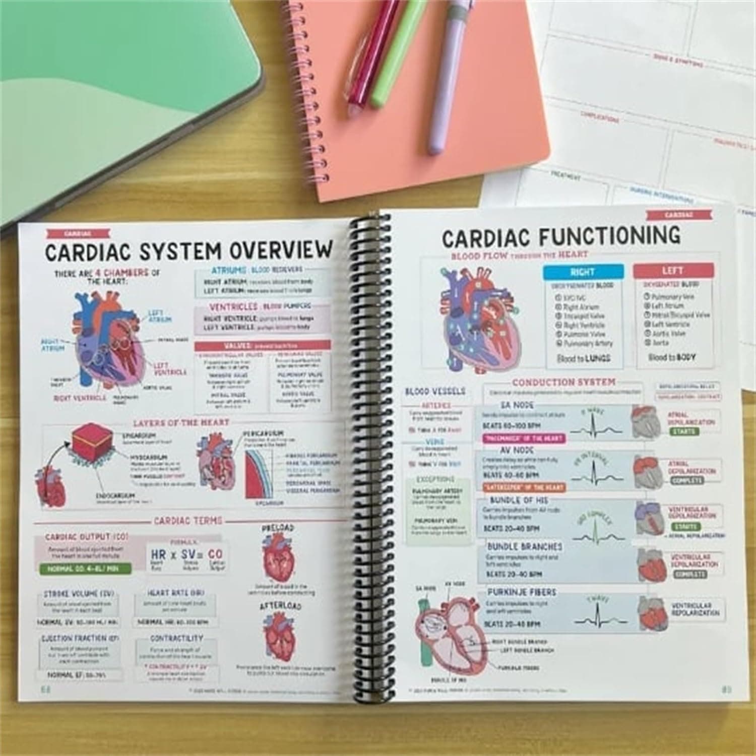 Nursing School Success Bundle,Nursing School Notes Success，Nursing School Success Bundle Nurse Well Versed,Nursing School Essentials thumbnail 5