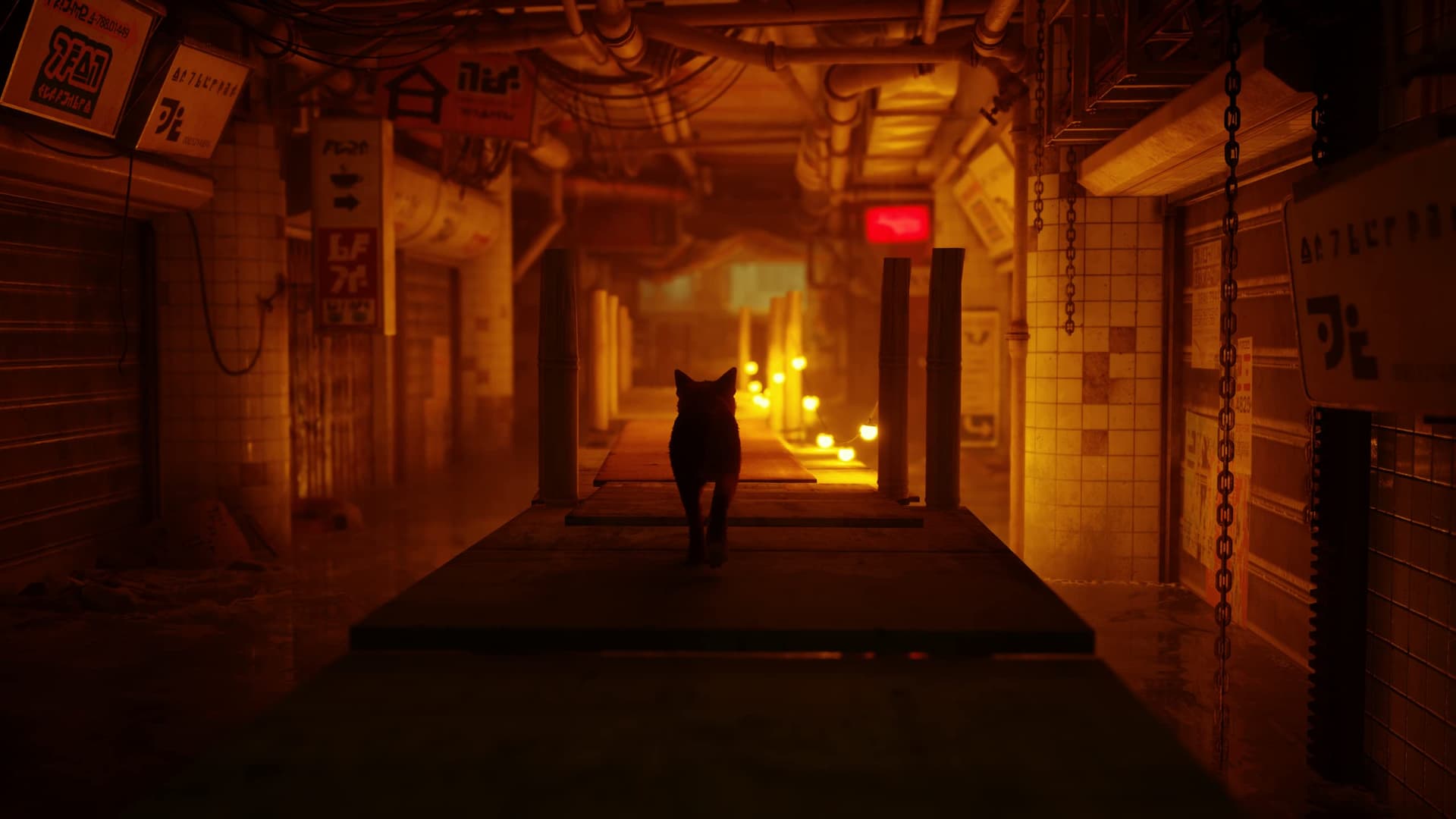 Skybound Stray for Xbox One and Series X thumbnail 15