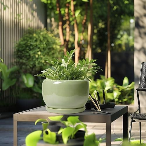 SQOWL Ceramic Planter - 10 Inch Pot for Plants Indoor Outdoor, Round Modern Flower Pot with Drainage Hole and Saucer, Decorative Large Planter, Office Decor, Plant Lovers Gifts, Green - 10 Inch - Glossy Green thumbnail 5
