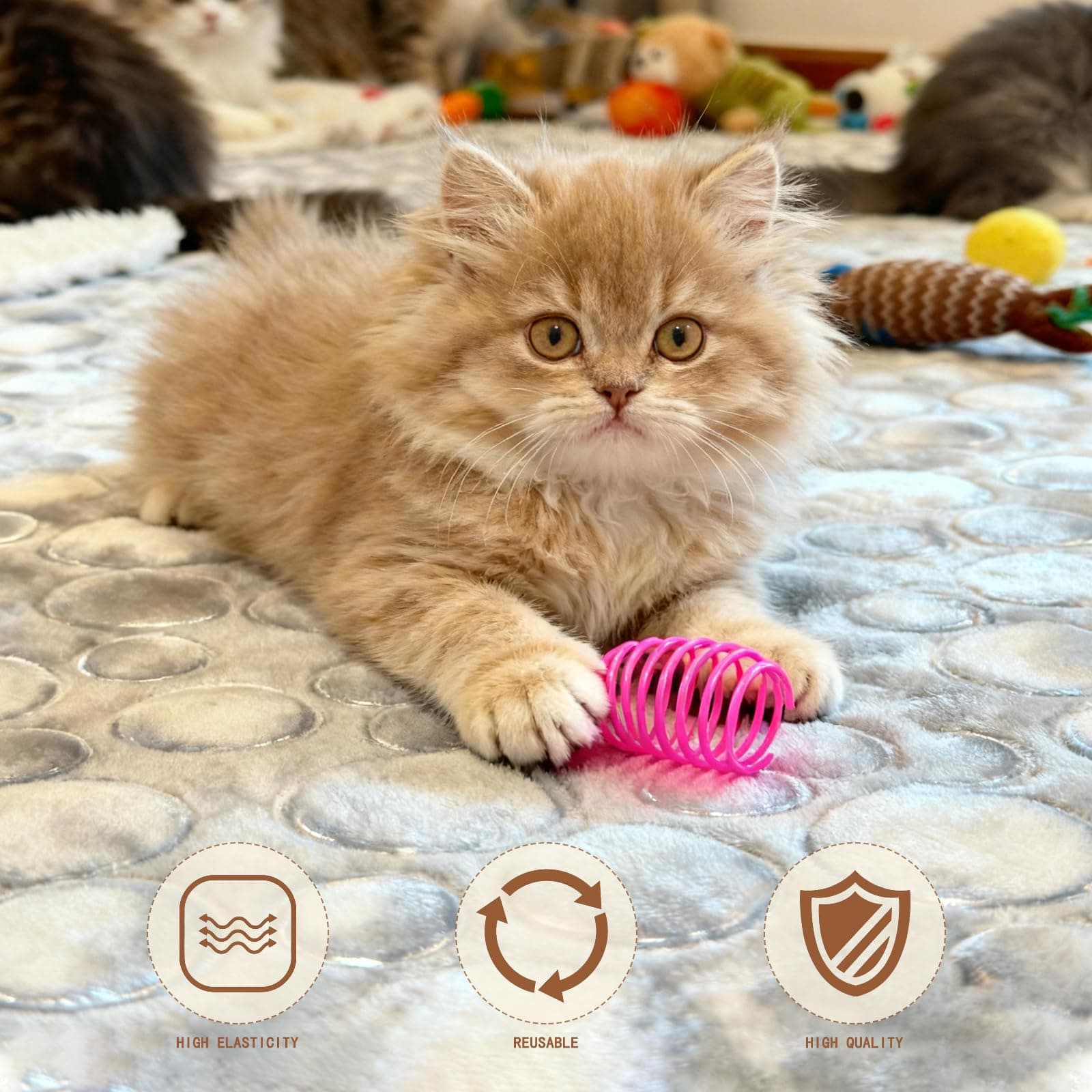 36-Piece Cat Spring Toy Set — A Must-Have Enrichment Cat Toys for Indoor Cats, Solving All Needs for Interactive Cat Toys, Kitten Toys, and Cat Enrichment in One Box. thumbnail 4