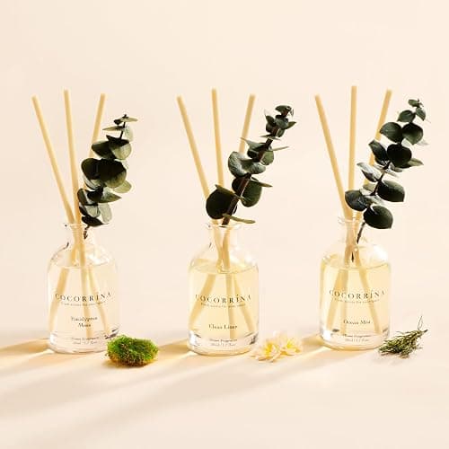 COCORRÍNA Reed Diffuser Set of 3 with Dried Eucalyptus for Home & Office | Eucalyptus & Moss/Clean Linen/Ocean Mist Scents,Aromatherapy Scented Oil Diffusers, 1.7 oz Each, Total 5.1 oz thumbnail 2