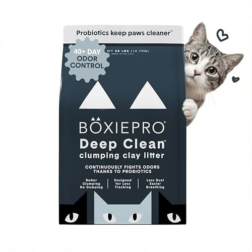 Boxie Probiotic Cat Litter, 40 Day Odor Control, Clumping Clay Kitty Litter, Odor Eliminating Probiotics, Dust-Free, No Fragrances No Fillers, 28 lb - Image 1