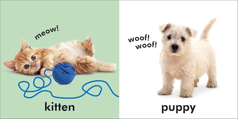 Baby Touch and Feel: Animals thumbnail 3