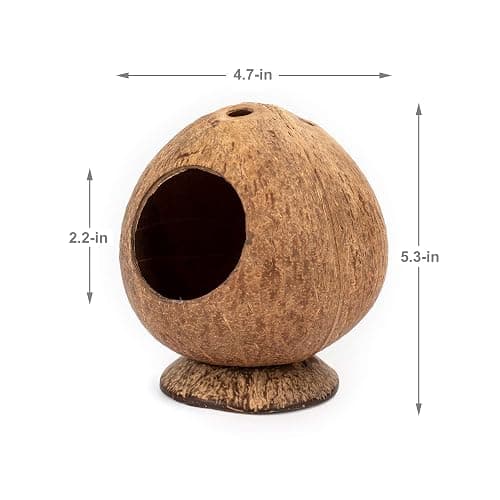 andwe Coconut Hut Hamster House Bed for Gerbils Mice Small Animal Cage Habitat Decor thumbnail 7
