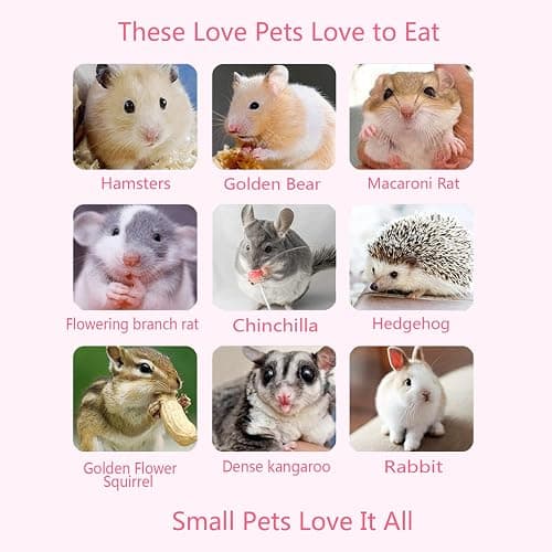 Dbeans Flourishing Rabbit Chew Toys 20PCS, Various Tastes, Rabbit Treats and Toys for Bunnies and Guinea Pigs, Promotes Dental Care and Digestion thumbnail 7