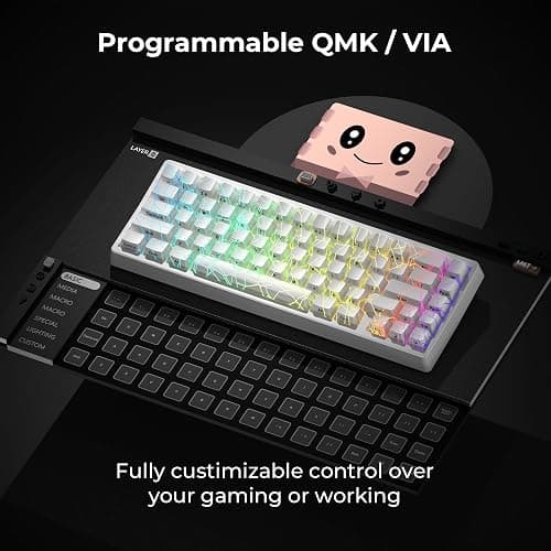 HITIME x XVX M67 Wireless 60% Percent Keyboard, QMK/VIA Gaming Keyboard, Tri-Mode Thocky Creamy Mechanical Key Board, Hot Swappable Gasket Mount RGB IMD Tech for Win/Mac, Spider Web Theme, White thumbnail 4