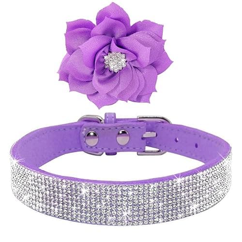 Pimaodog Cute Dazzling Sparkling Elegant Fancy Soft Suede Leather Bling Rhinestone Crystal Jeweled Pet Cat Dog Puppy Collar Dog Leash Combo Set (XXS(Neck 6-8"), Purple-6) thumbnail 4