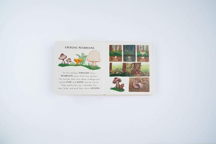 Slow Down… Discover Nature in the Park: Bring calm to Baby's world with 6 mindful nature moments thumbnail 7