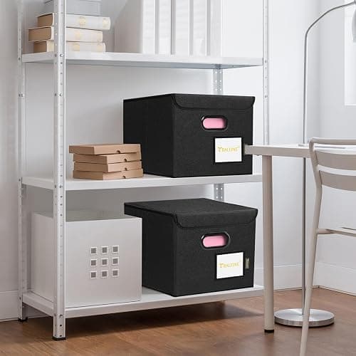 BALEINE File Organizer Box with Lid, Collapsible File Folder Organizer with Plastic Slide, Hanging File Folder Box for Office Document Storage (1 Pack, Black) thumbnail 2