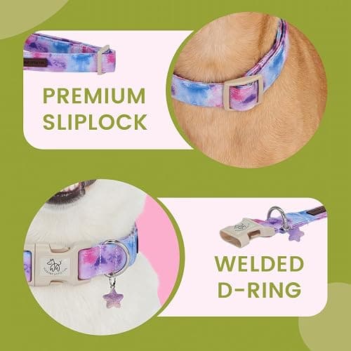 Elegant little tail Dog Collar - Colorful Print Dog Collars Cute Spring Puppy Adjustable Pet Collars with Sturdy Quick Release Buckle for Medium Dogs thumbnail 3