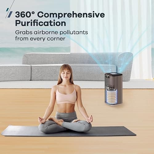 WELOV P200S/P200 Pro Pet Care Filter, 3-in-1 H13 True HEPA and High-Efficiency Activated Carbon Filter for Pet Hair, Dander, Pollen, Dust, Pet Odor, and Other Unwanted Smells thumbnail 6